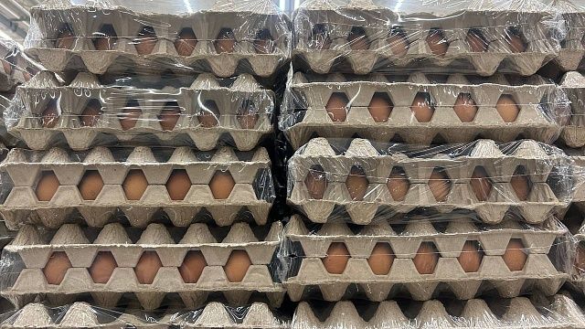 В магазинах снизились цены на куриные яйца. Фото: телеканал «Краснодар»
