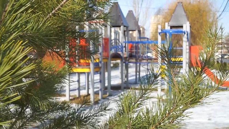 Неделя в Краснодаре 31.01.26: медицинские инновации, гуляем по новым скверам, в театр по пушкинской