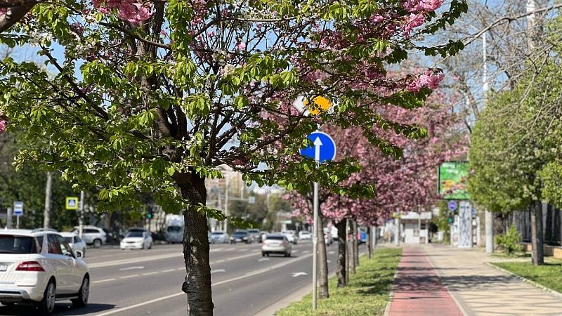 Новая неделя в Краснодаре начнётся с ясной и солнечной погоды 