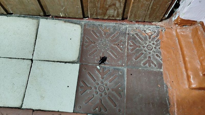 Жильцы дома устали от тараканов соседей и запенили им входную дверь в Кемерово
