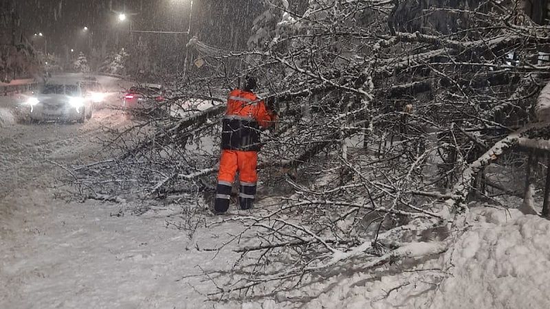 Более 200 человек ликвидировали последствия стихии в Сочи