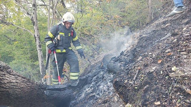 В Геленджике удалось локализовать крупный лесной пожар