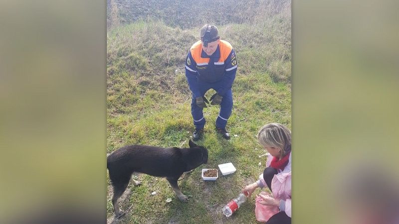 Спасатели вытащили из колодца собаку в Новороссийске 