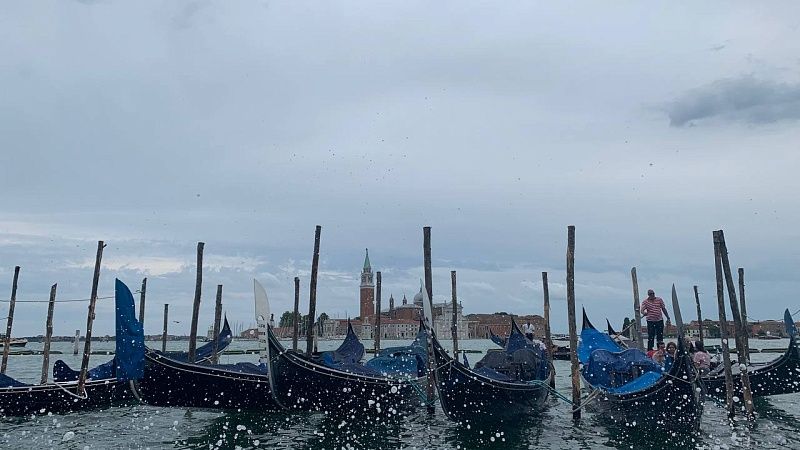 За зелёный Гранд-канал Грете Тунберг запретили въезд в Венецию 