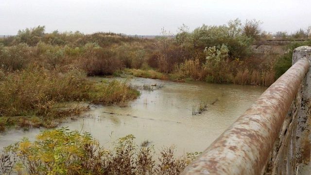 В сети появились кадры последствий обмеления водохранилища в Киеве 