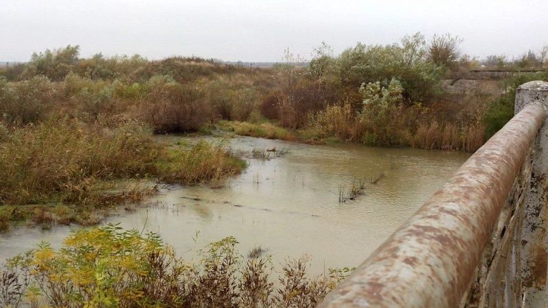 В сети появились кадры последствий обмеления водохранилища в Киеве 