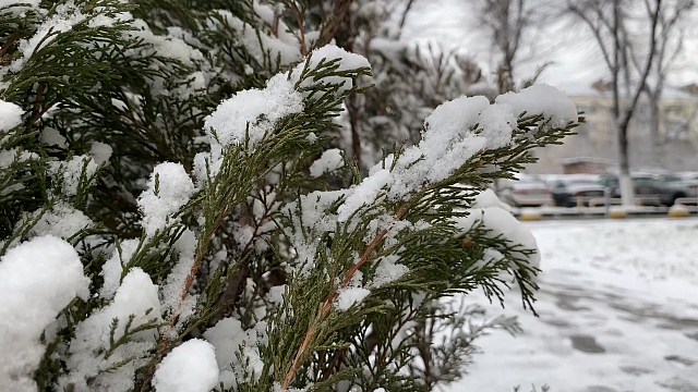 Снег у власти, зимние перезвоны, какое самое популярное имя на Кубани. Новости 9 февраля