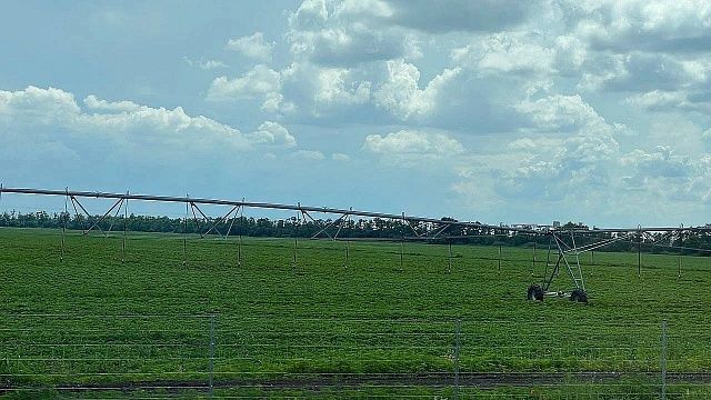 Фото: телеканал «Краснодар»