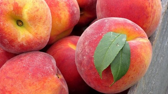 Фото: ЮМУ Россельхознадзора