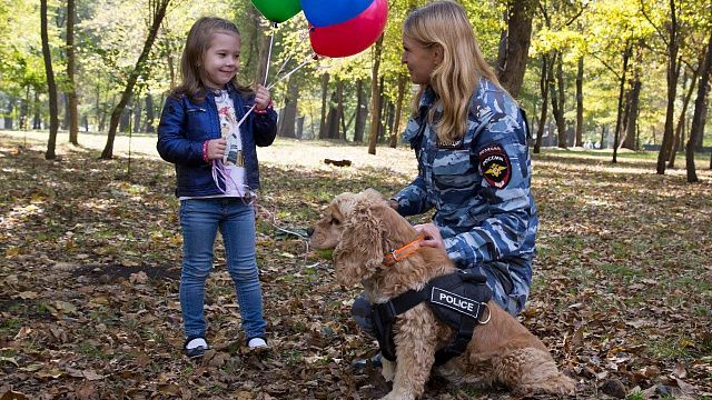 За полгода собаки помогли раскрыть более 900 преступлений, совершенных на Кубани