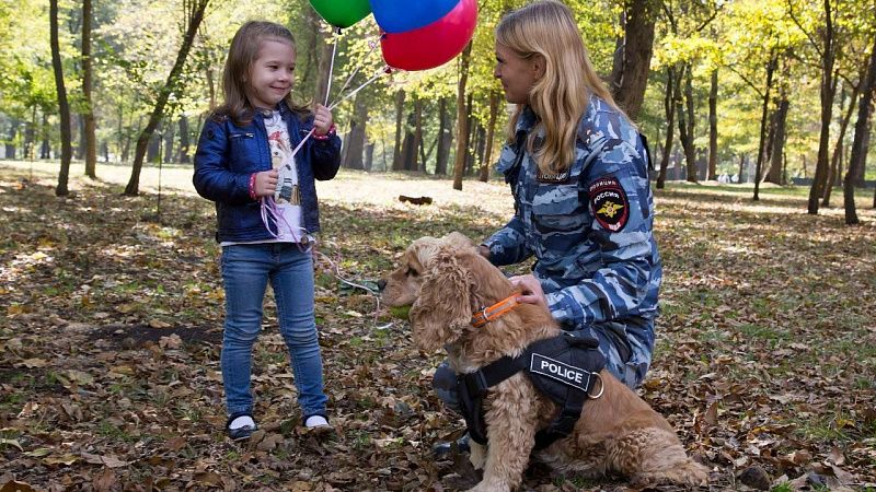 За полгода собаки помогли раскрыть более 900 преступлений, совершенных на Кубани