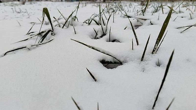 Ещё две трассы перекрыли из-за сильных снегопадов в Сахалинской области 