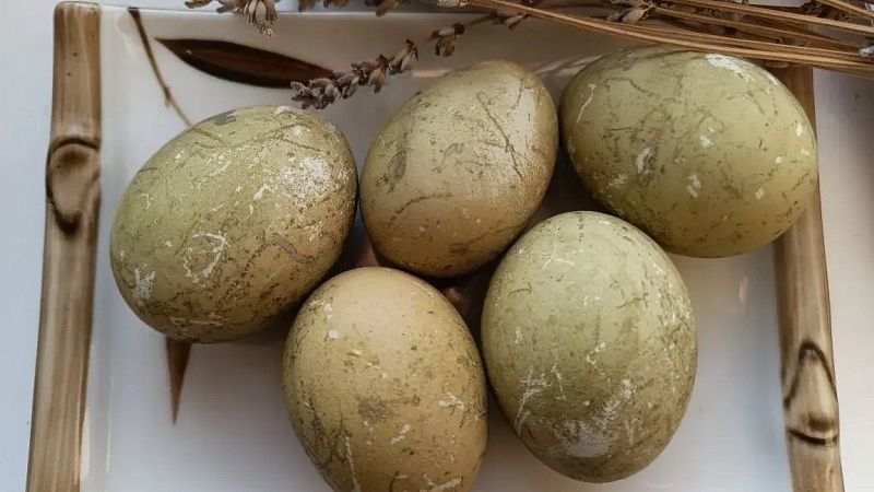 О способах мошенничества перед Пасхой предупредила полиция на Кубани