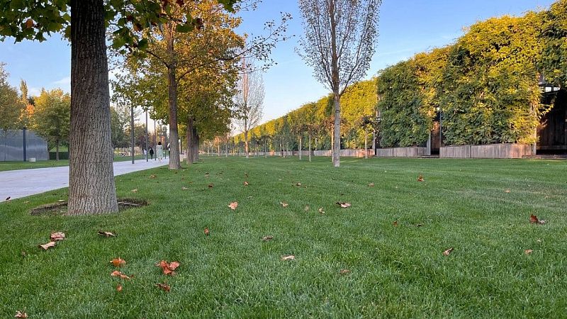 Самый тёплый день недели с температурой до +28 °C ожидают 8 октября на Кубани