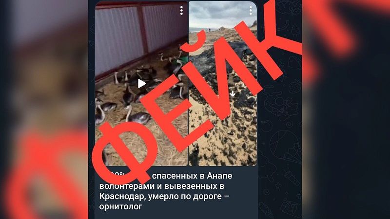 Оперштаб опроверг информацию о массовой гибели птиц по пути в Краснодар