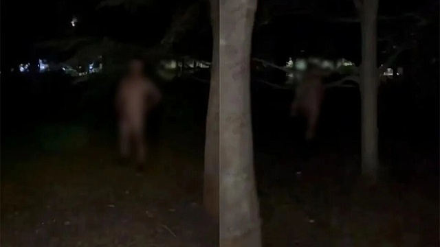 Скриншот видео t.me/chpkrasnodara