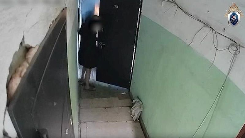 Россиянка сожгла заживо соседку за подозрение в похищении собаки в Воскресенске