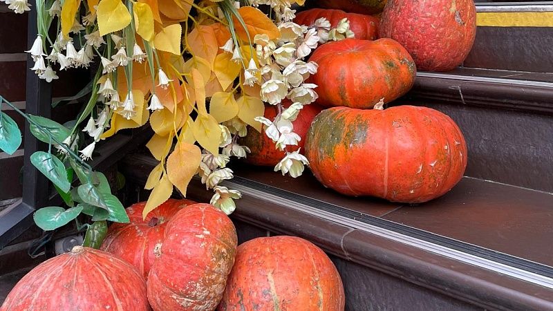 Эндокринолог Пришвина раскрыла, как похудеть с помощью тыквы