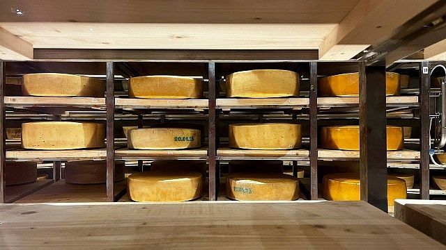 Фото: телеканал «Краснодар»