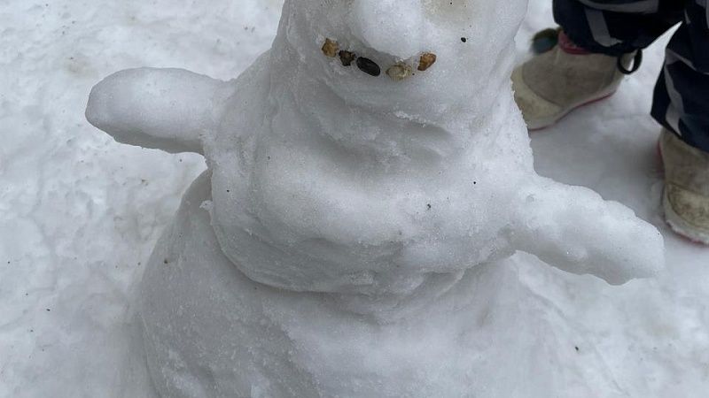 Флешмоб снеговиков устроили в зимнем Сочи