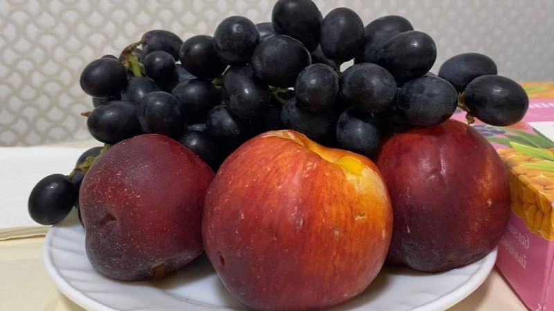 Опасного вредителя нашли в партии узбекских нектаринов на Кубани