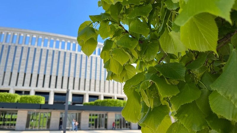 Синоптики рассказали, когда май станет тёплым на Кубани
