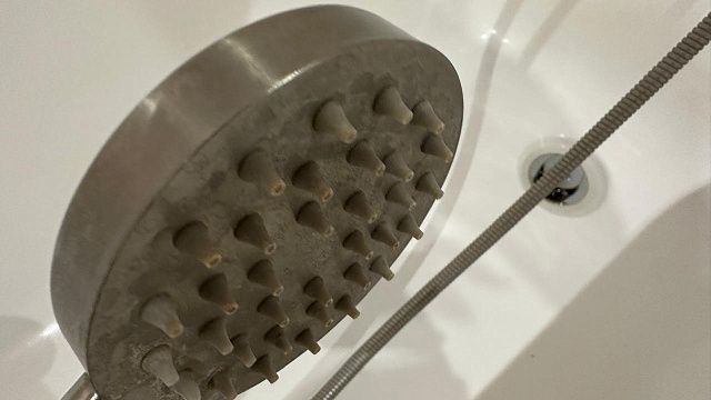 Фото: телеканал «Краснодар»