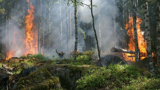 В Краснодаре до 9 июня сохранится высокая пожароопасность 4 класса