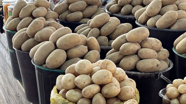 На Кубани подешевели лук, картофель, помидоры и морковь Фото: Телеканал «Краснодар»