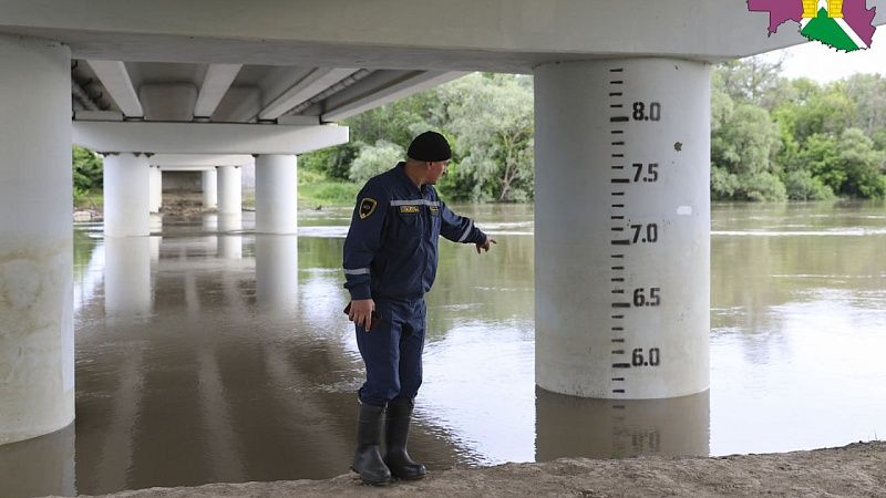 Мониторинг уровня реки Кубань из-за дождей начали в Усть-Лабинском районе