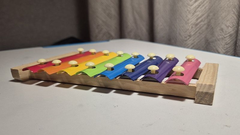 Подростку проломили череп ксилофоном в детском лагере на Сахалине 