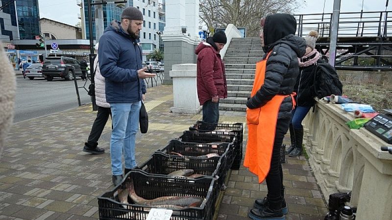 На улицах Сочи пресекли случаи незаконной торговли рыбой