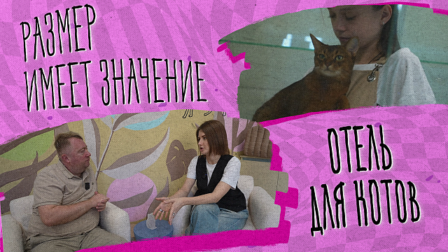 «РАЗМЕР ИМЕЕТ ЗНАЧЕНИЕ» - Отель для котов