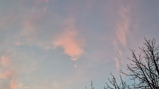 Фото: телеканал «Краснодар»