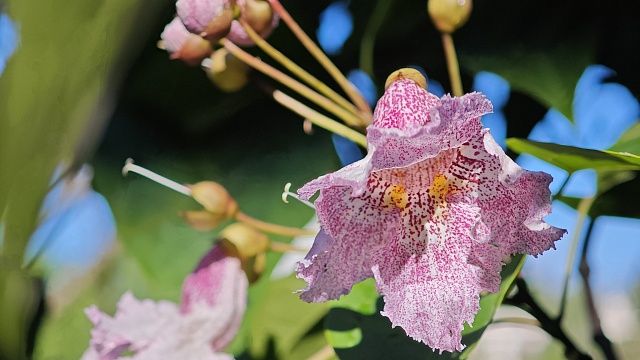 Фото: Святослав Дозморов