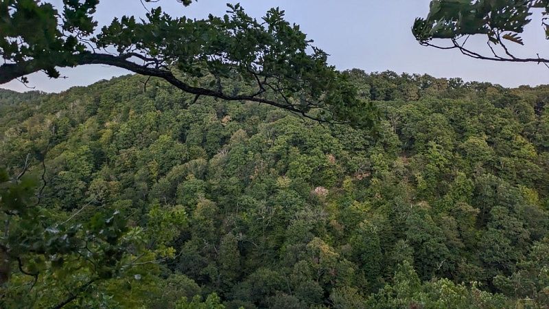 Матом рассказала, куда нужно ехать и идти недовольным депутат из Дубны