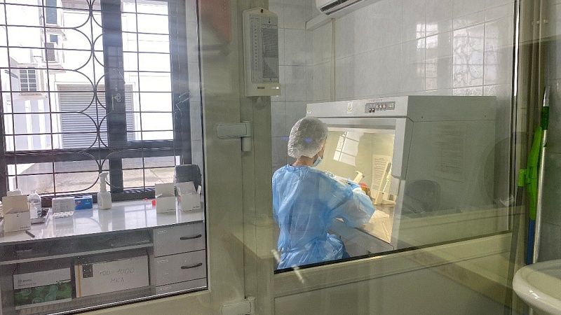 Из-за вируса чикунгунья ввели меры защиты от COVID-19 в Китае