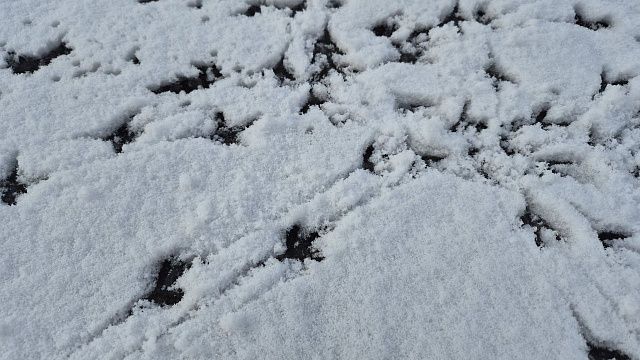 Мэр Нью-Йорка призвал жителей быть дома и «делать детей» во время снегопада