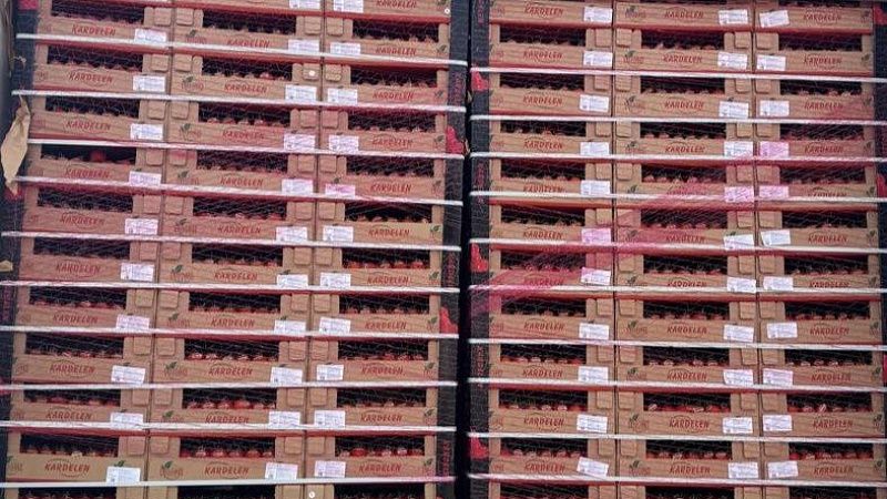 Турецкие томаты с опасным вредителем отправили на карантин в Туапсе