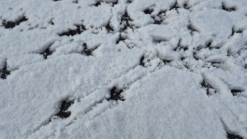 Мэр Нью-Йорка призвал жителей быть дома и «делать детей» во время снегопада