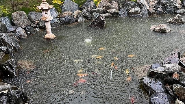 Дождь, ветер и похолодание до +20 градусов придут в Краснодар 21 мая