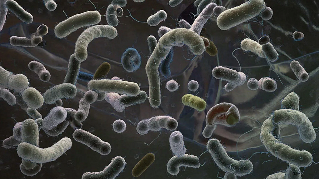 Изображение создано при помощи ИИ