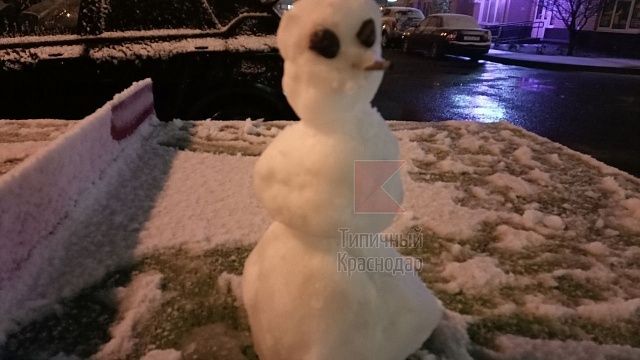 Краснодарцы слепили первого снеговика Фото: t.me/krd_tipich_ru