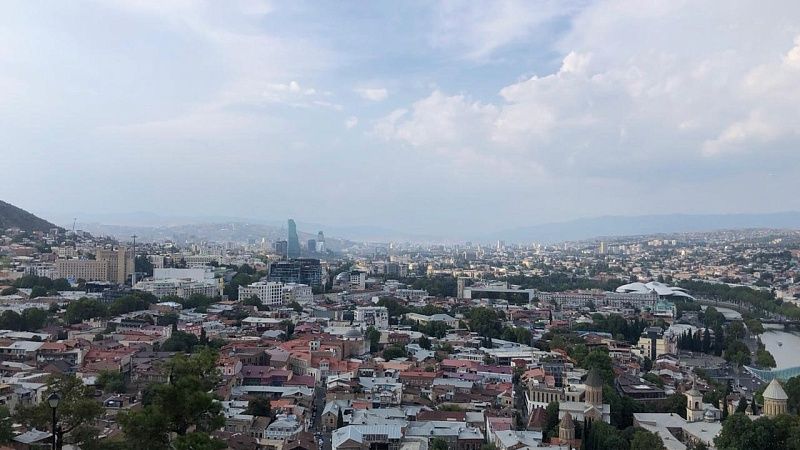 Бездомные собаки растерзали новорождённого в Индии