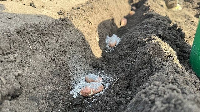 Фото: телеканал «Краснодар»