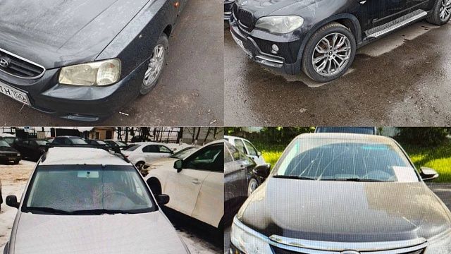 Фото: пресс-служба прокуратуры Москвы