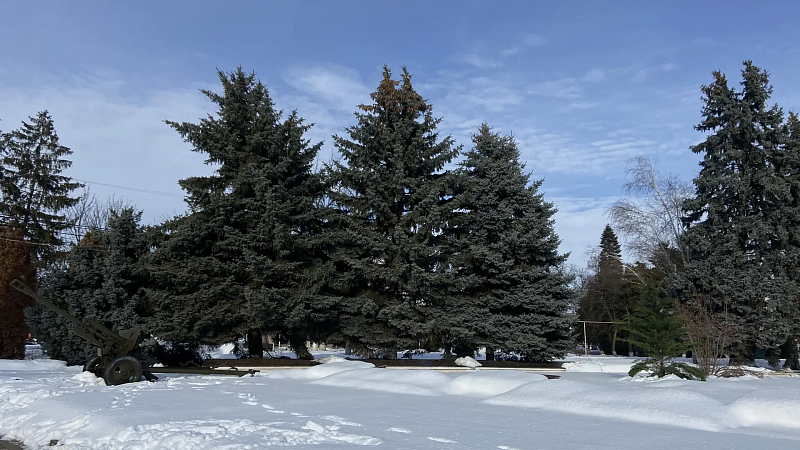 Снегопад побил рекорды 1986 и 2012 годов в Подмосковье