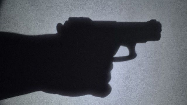 Актер театра расстрелял кота в Тверской области