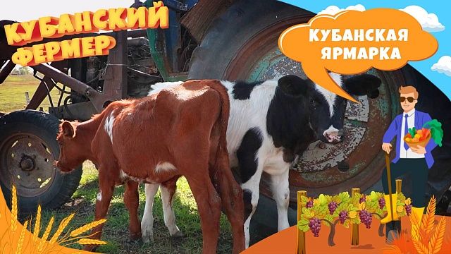 Кубанский фермер – Кубанская ярмарка