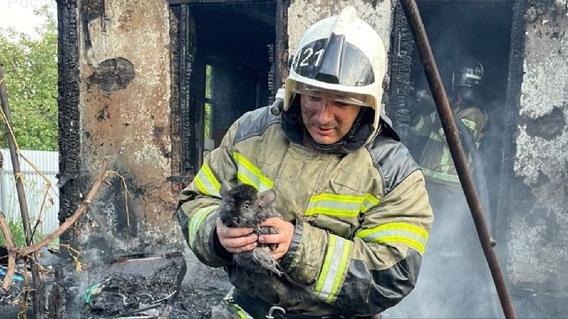 На Кубани пожарные спасли из огня трёх карликовых кроликов